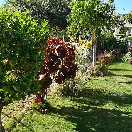 Cocon Caraibe Daire Sainte-Anne  Dış mekan fotoğraf