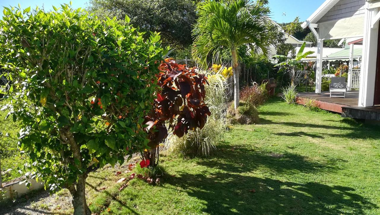 Cocon Caraibe Daire Sainte-Anne  Dış mekan fotoğraf